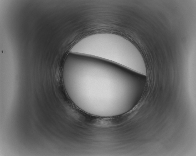 X0000116570078200912101012