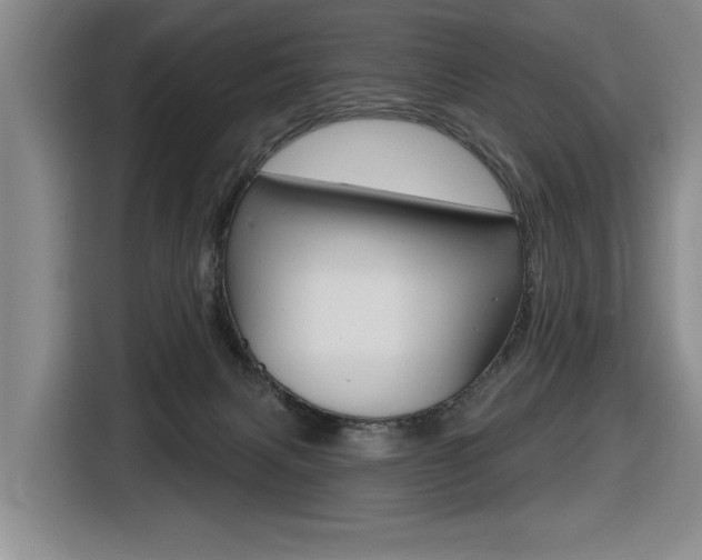 X0000116570079200912101012