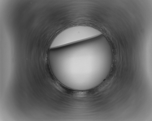 X0000116570081200912101012