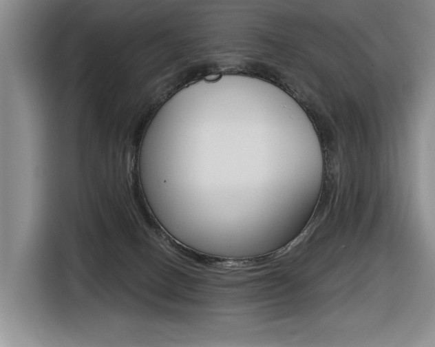 X0000116570082200912101012