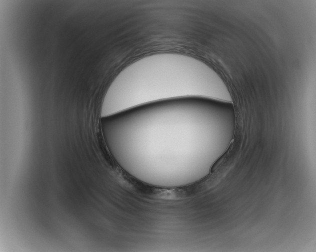 X0000116570083200912101012