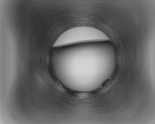 X0000116570085200912101012