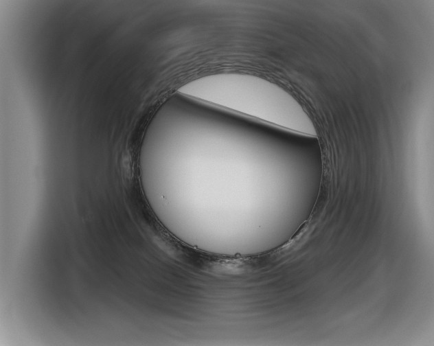 X0000116570086200912101012