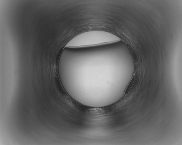 X0000116570087200912101012