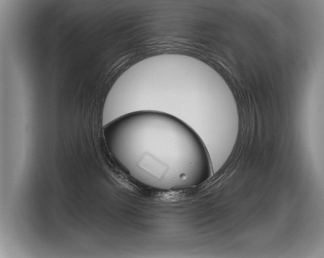 X0000116570092200912101012