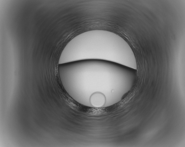 X0000116570093200912101012