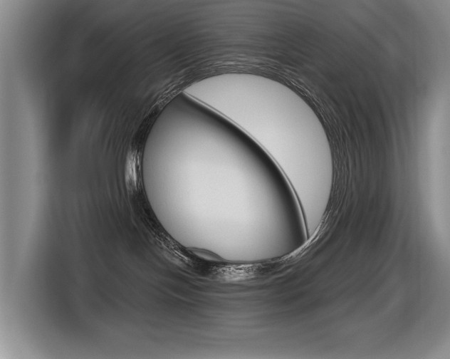 X0000116570094200912101012