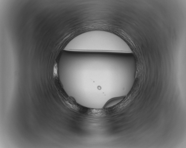 X0000116570095200912101012