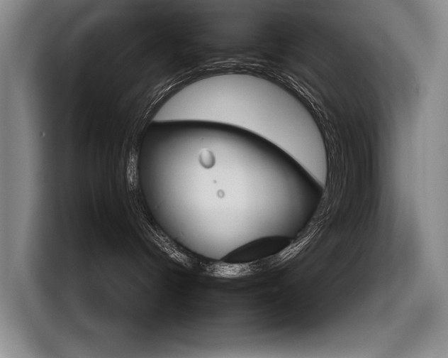 X0000116570096200912101012