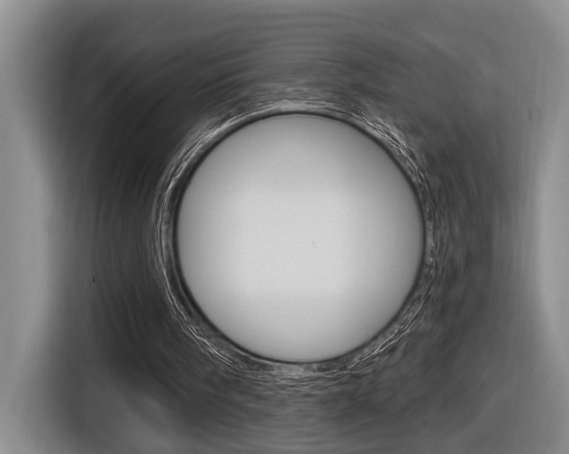 X0000116570098200912101011