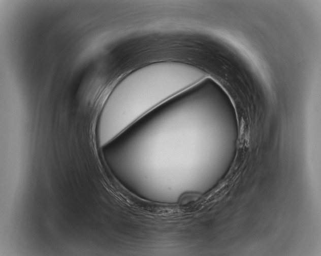 X0000116570099200912101011