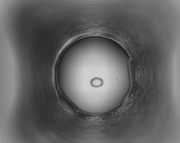 X0000116570100200912101011