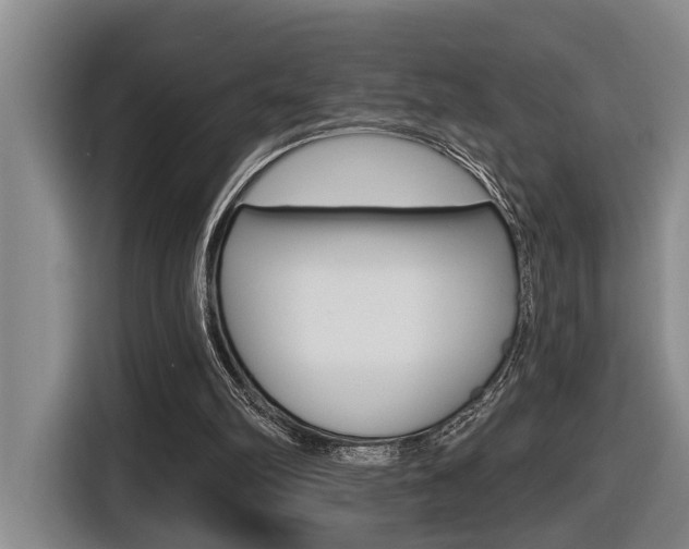 X0000116570102200912101011