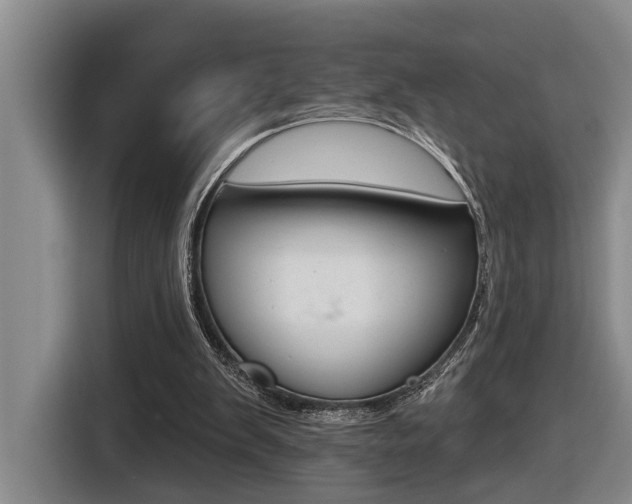 X0000116570103200912101011