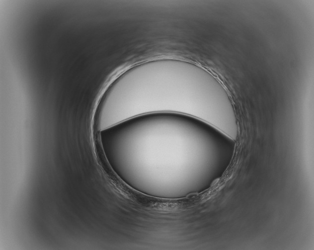 X0000116570104200912101011