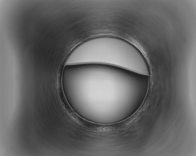 X0000116570105200912101011