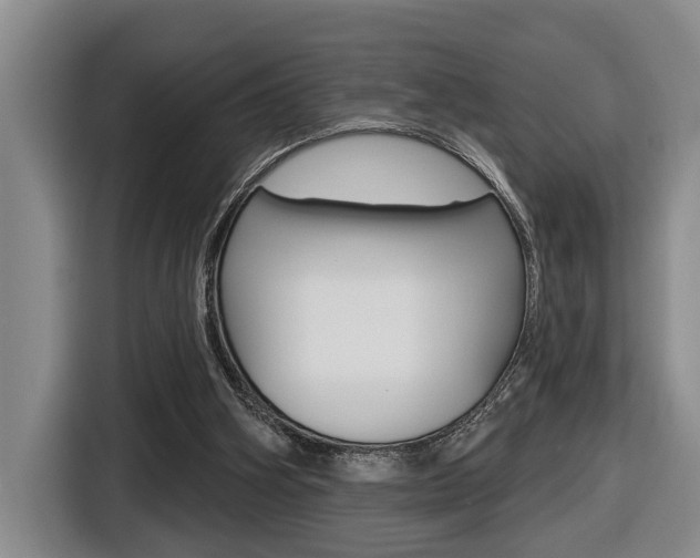 X0000116570106200912101011