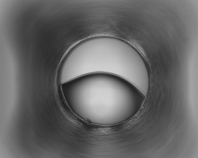 X0000116570108200912101011