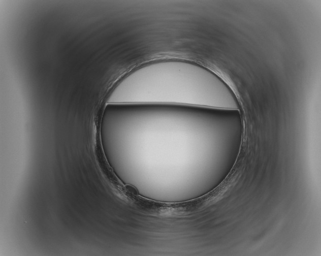 X0000116570109200912101011