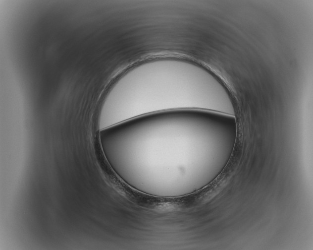 X0000116570111200912101011