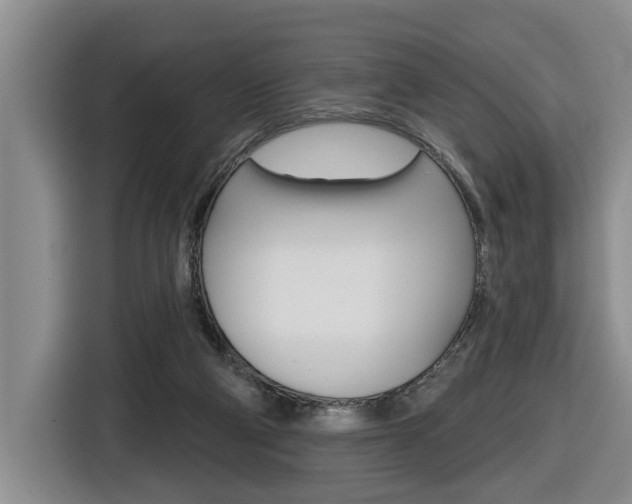 X0000116570114200912101011