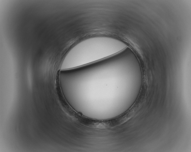 X0000116570115200912101011