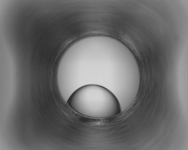 X0000116570116200912101011