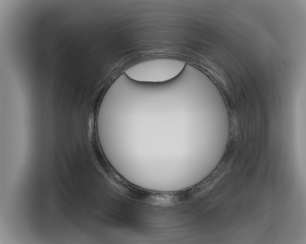 X0000116570118200912101011