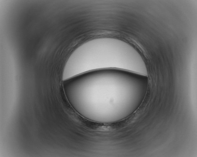 X0000116570119200912101011