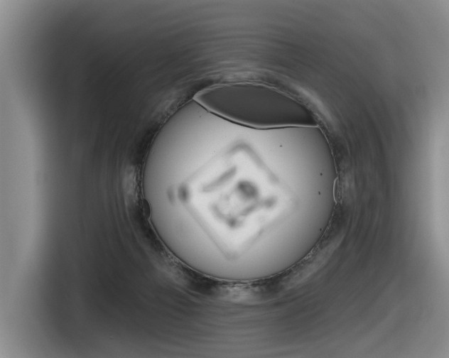 X0000116570121200912101011