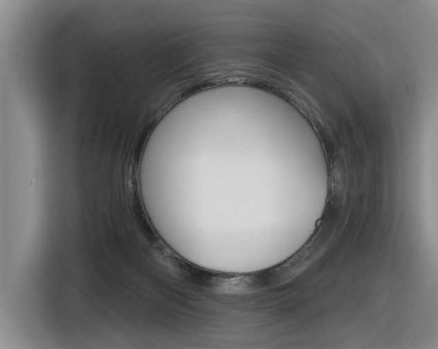 X0000116570122200912101011