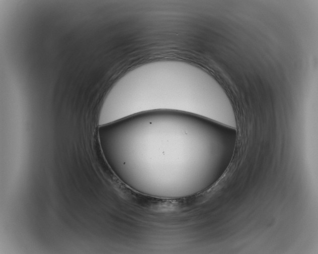 X0000116570124200912101011