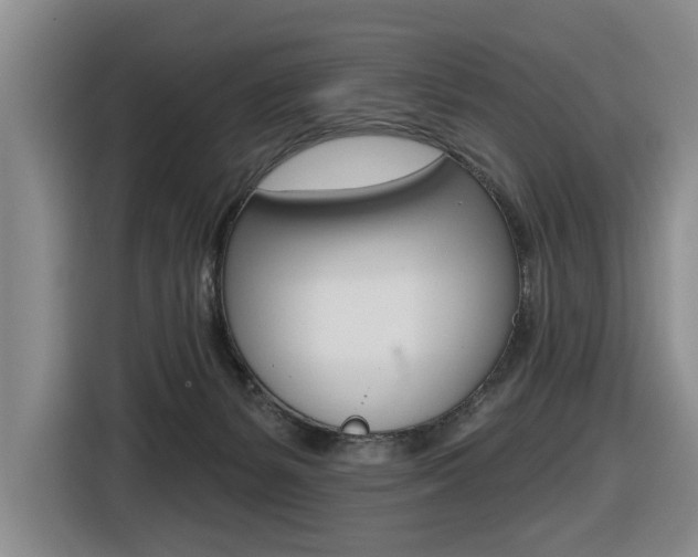 X0000116570127200912101011