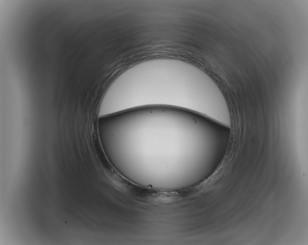 X0000116570128200912101011