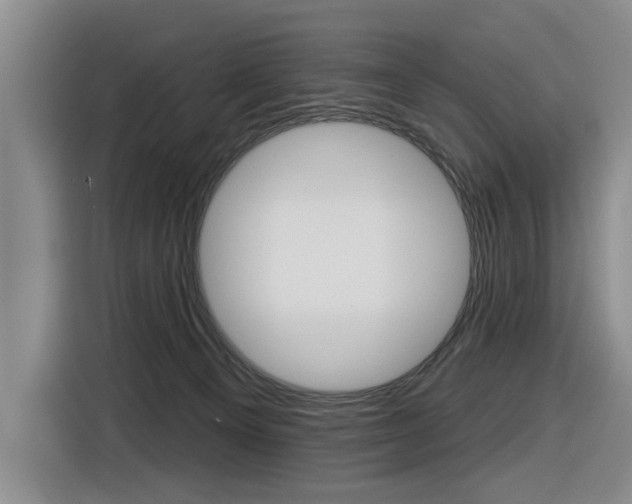 X0000116570129200912101011