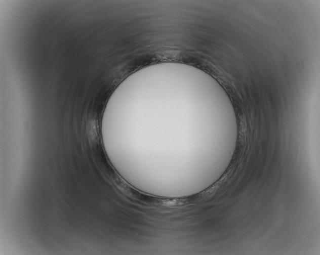 X0000116570130200912101011