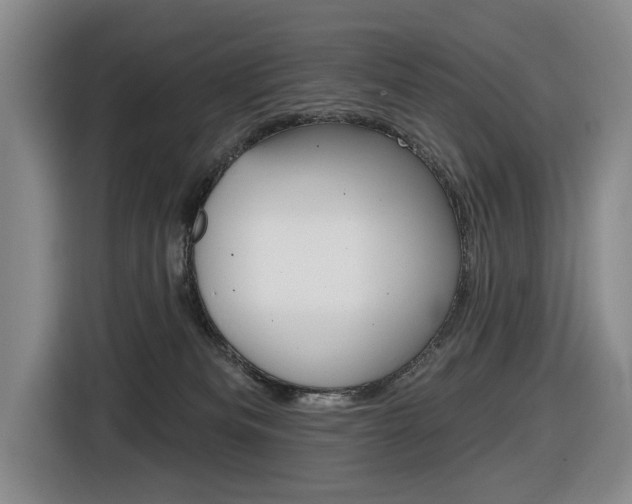 X0000116570133200912101011