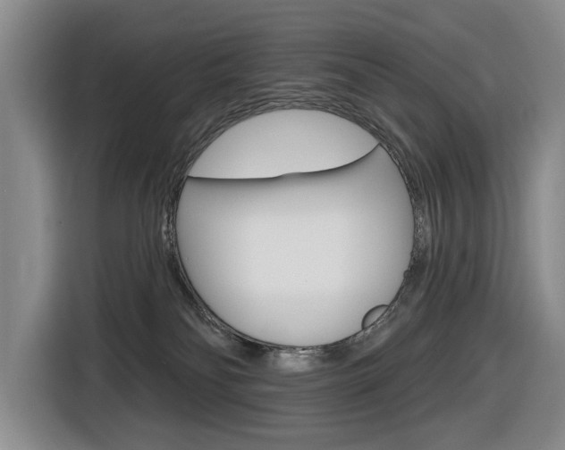 X0000116570134200912101011