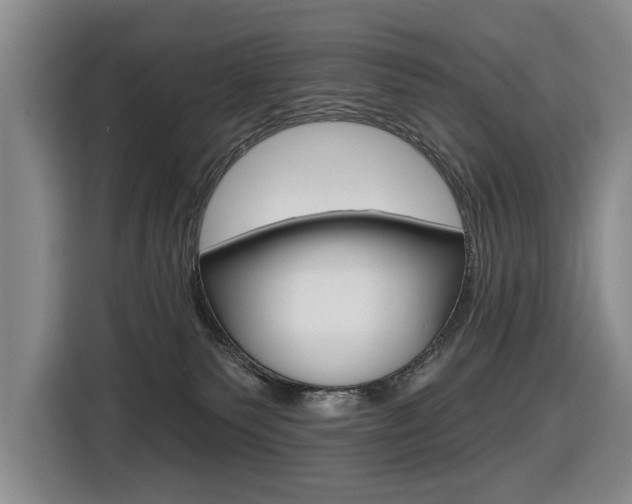 X0000116570135200912101011