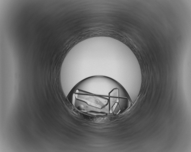 X0000116570136200912101011