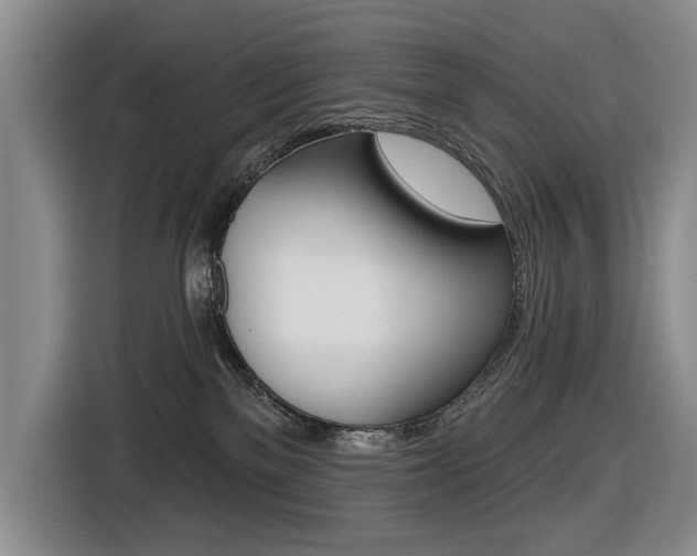 X0000116570137200912101011