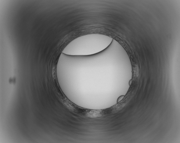 X0000116570138200912101011