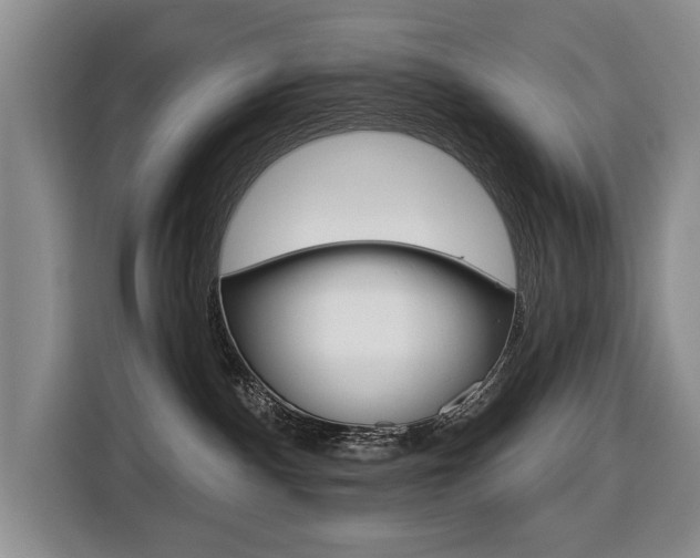 X0000116570140200912101011