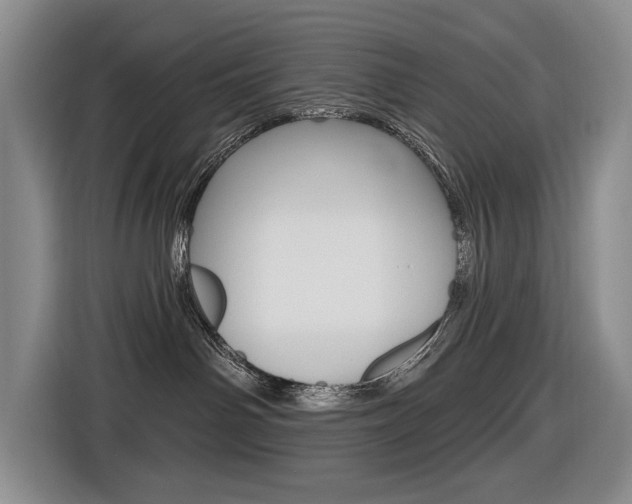 X0000116570142200912101011