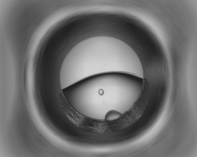 X0000116570143200912101011