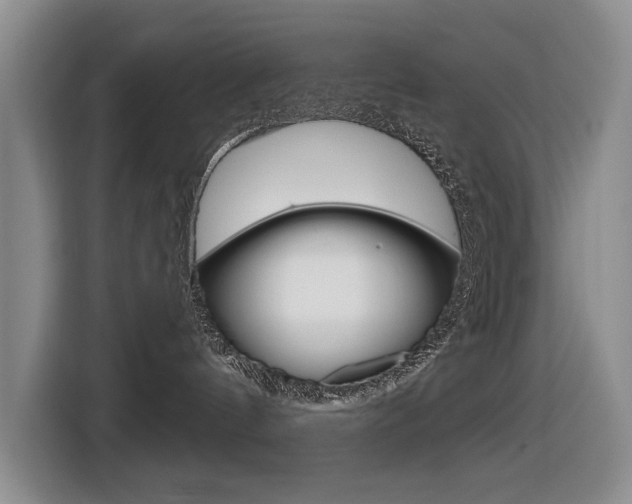 X0000116570144200912101011