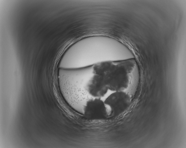 X0000116570145200912101010