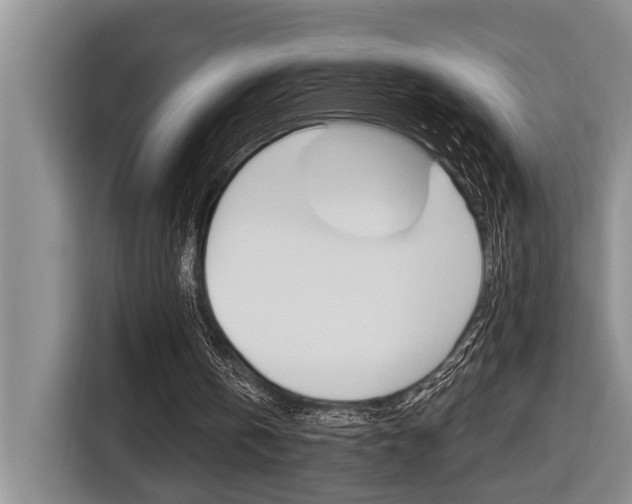 X0000116570146200912101010