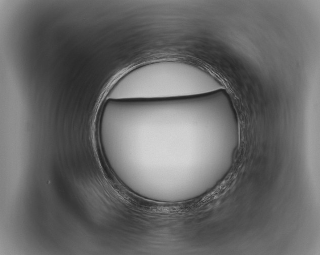 X0000116570147200912101010