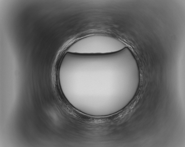 X0000116570149200912101010